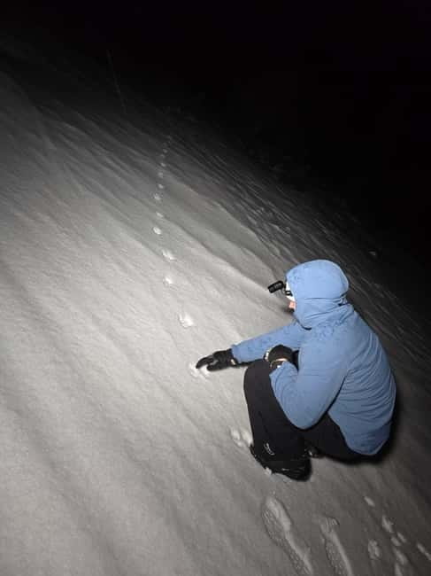 Tromsø: Northern Lights and a Starlit Adventure Tour - Final Thoughts: Authentic, Engaging, and Memorable