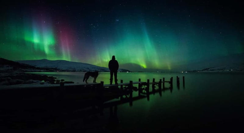 Tromsø: Northern Lights Chase + Free Professional Photos - A Deep Dive into the Arctic Aurora Chase Experience