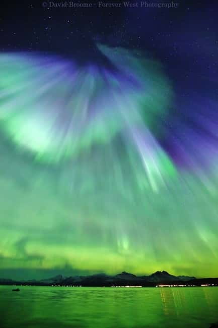 Tromsø: Northern Lights Chase + Free Professional Photos - Final Thoughts