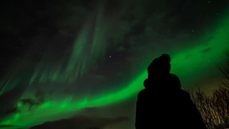 Tromsø: Northern Lights Focus Tour, German/English, minibus, meal - Who Is This Tour Best For?