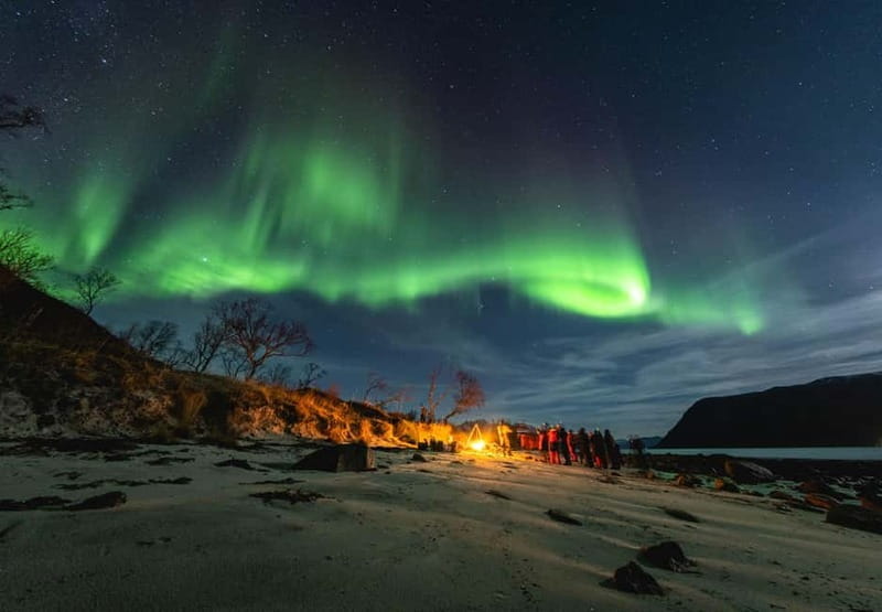 Tromsø: Northern Lights Focus Tour, German/English, minibus, meal - Price and Value Analysis