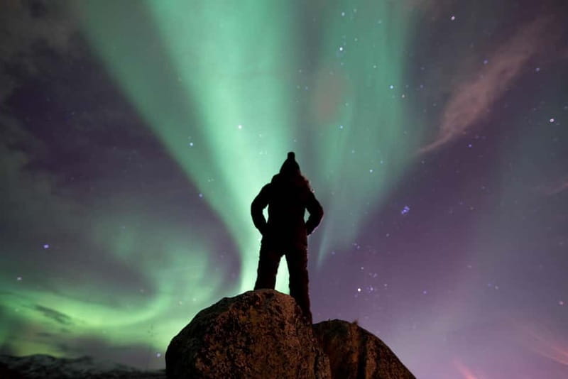 Tromsø: Northern Lights Hunt in French with Photographer - Key Points / Takeaways