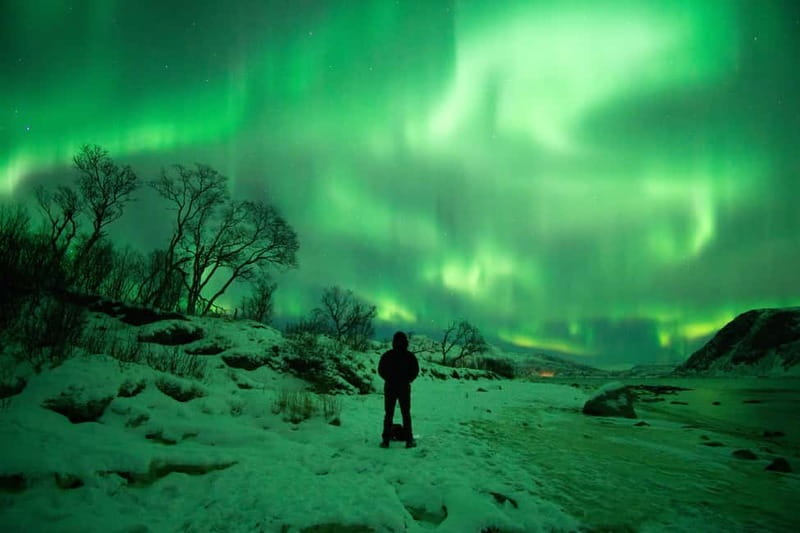 Tromsø: Northern Lights Hunt in French with Photographer - Setting the Scene in Tromsø