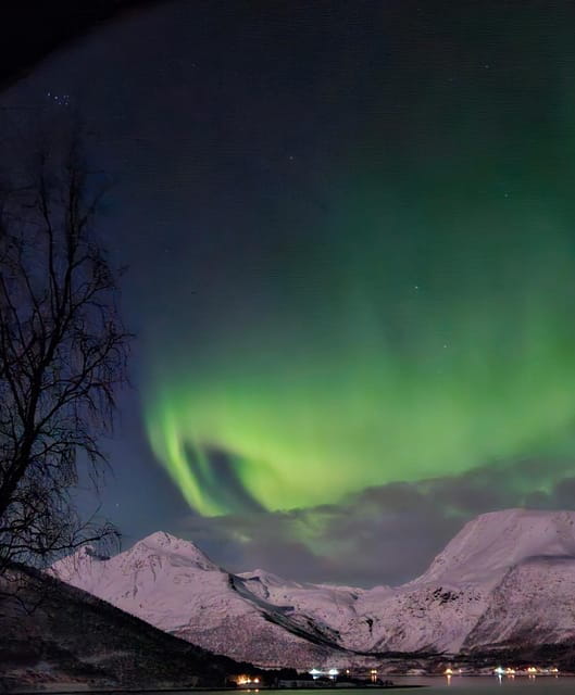 Tromsø: Northern Lights Hunt, private tour - Entering Norway’s Arctic Wilderness