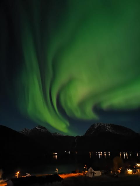 Tromsø: Northern Lights Hunt, private tour - Price and Value Analysis