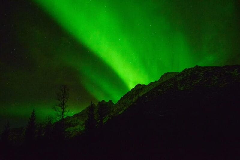 Tromsø: Northern Lights Hunt, private tour - Who Is This Tour Best For?