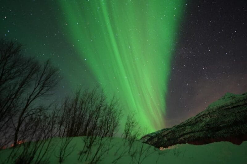 Tromsø: Northern Lights Minibus Small Private Tour Group - Key Points / Takeaways