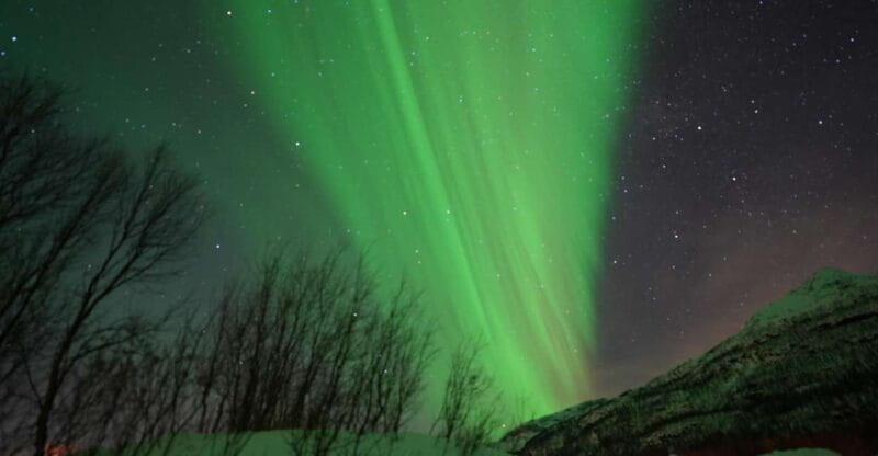 Tromsø: Northern Lights Minibus Small Private Tour Group - Who This Tour Suits Best