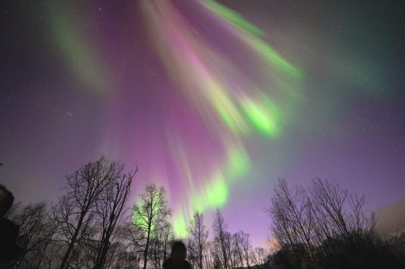 Tromso: Northern Lights Minibus Tour with Campfire - Full Review: Chasing Aurora in Tromso — What to Expect and Why It Matters