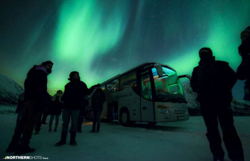 Tromso: Northern Lights Photography Tour by Bus (or miniBus) - Who Is This Tour Best For?