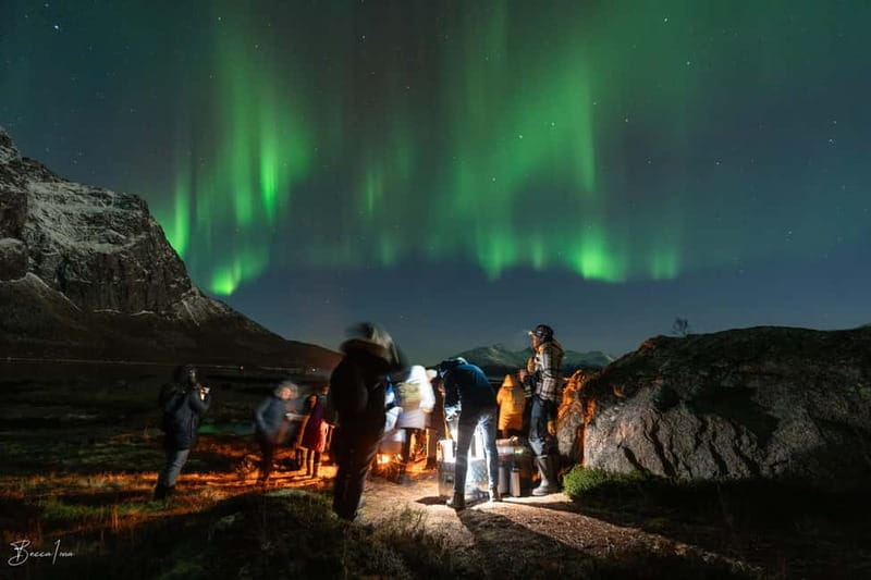 Tromsø: Northern Lights Safari - The Itinerary: What to Expect on the Night