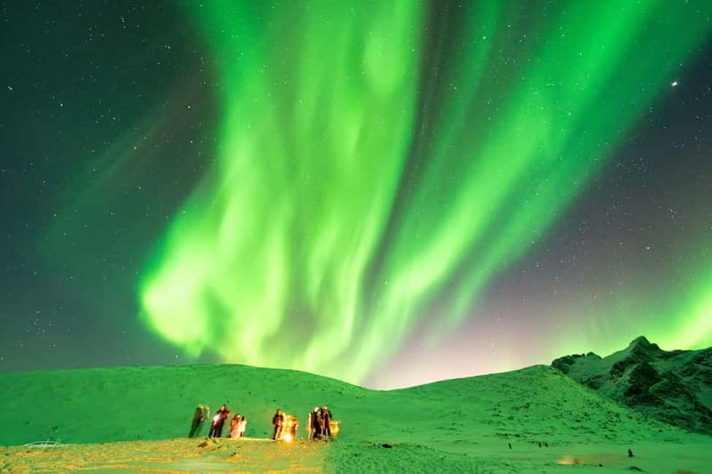 Tromsø: Northern Lights Safari - Who Will Love This Tour?