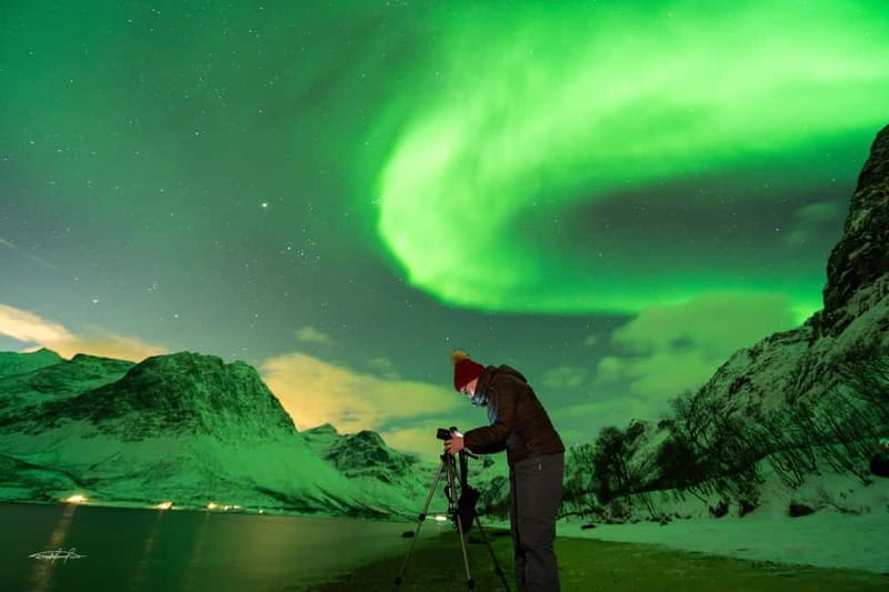 Tromsø: Northern Lights Safari - Final Thoughts: Who Should Book?