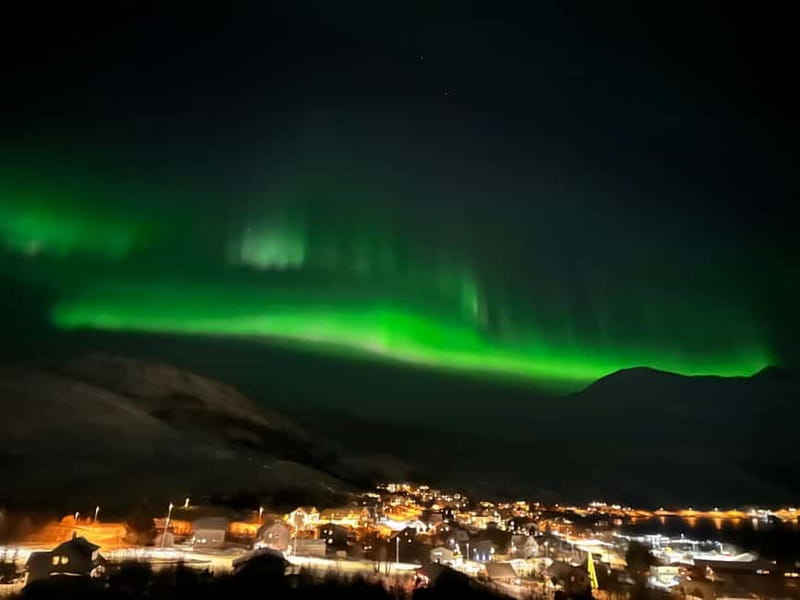 Tromsø: Northern Lights Tour - Key points / Takeaways