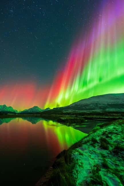 Tromsø: Northern Lights Tour with Campfire - Key Points / Takeaways