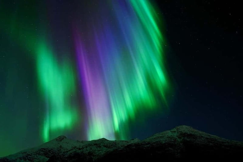 Tromsø: Northern Lights Tour with Free Professional Photos - Key Points / Takeaways