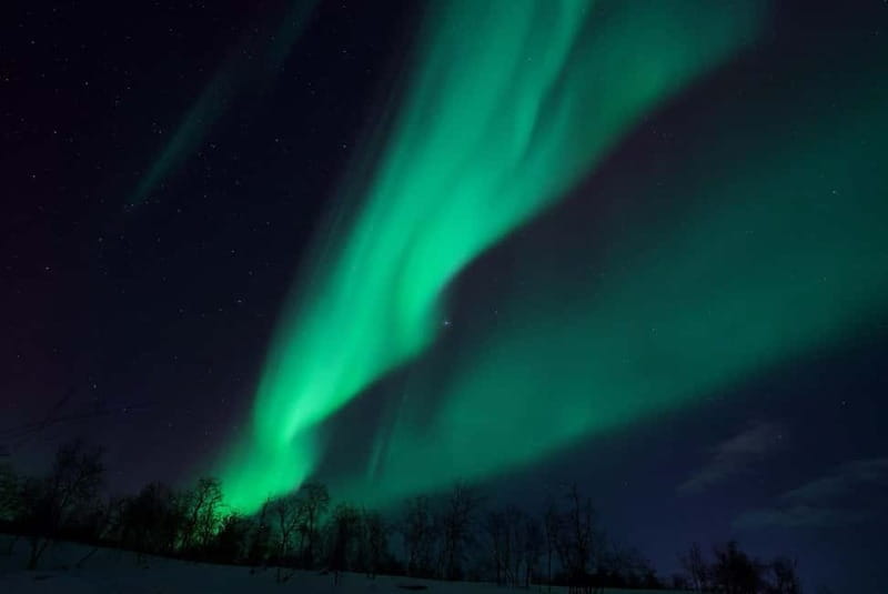 Tromsø: Northern Lights Tour with Free Professional Photos - Price and Value