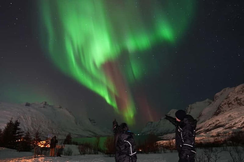 Tromsø: Northern Lights Tour with Free Professional Photos - Final Thoughts