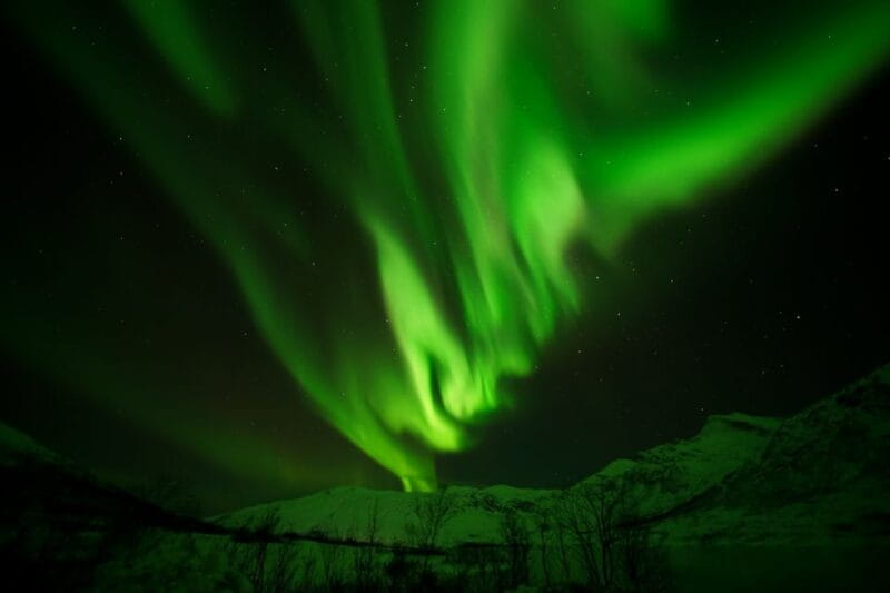 Tromsø: Northern Lights Tour with Free Professional Portrait - Who this tour suits best