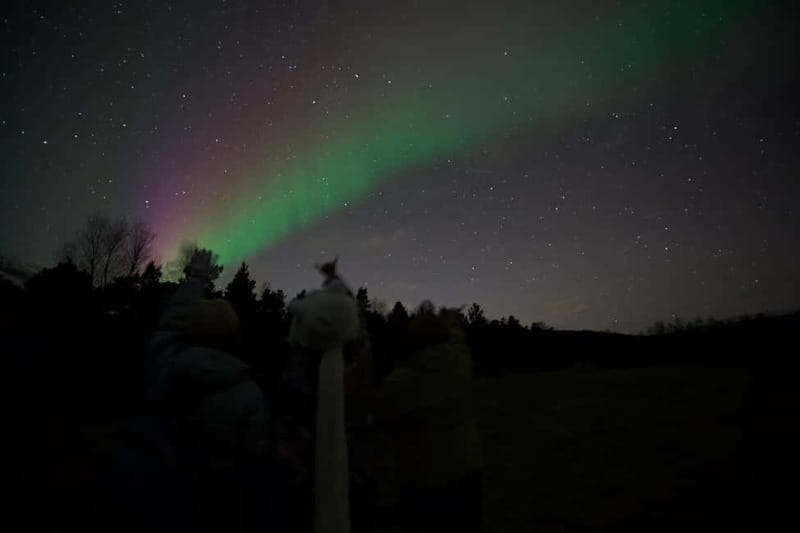Tromsø: Northern Lights Tour with small group, minibus - The Search for the Aurora