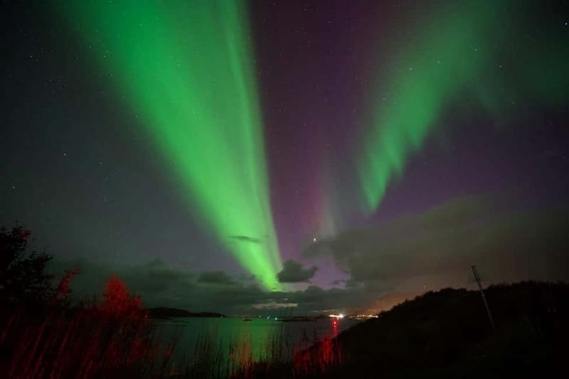 Tromsø: Northern Lights Tour with small group, minibus - Food, Drinks, and Atmosphere