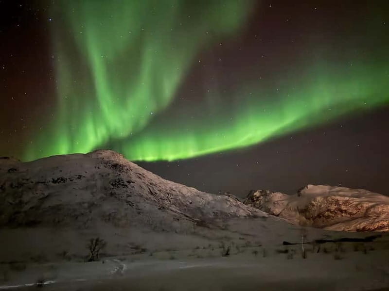 Tromsø: Northern Lights Tour with small group, minibus - Who It’s Best For