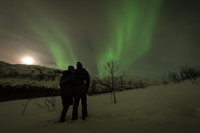 Tromsø Norway - Private northern lights tour with local guide - Final Thoughts: A Special Arctic Night