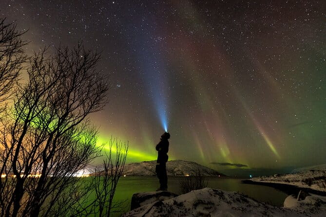 Tromsø Norway - Small Group Aurora Hunt Tour with a local guide - Key Points