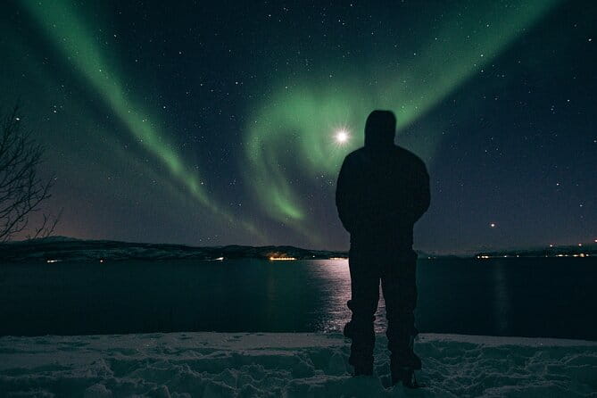 Tromsø Norway - Small Group Aurora Hunt Tour with a local guide - The Sum Up