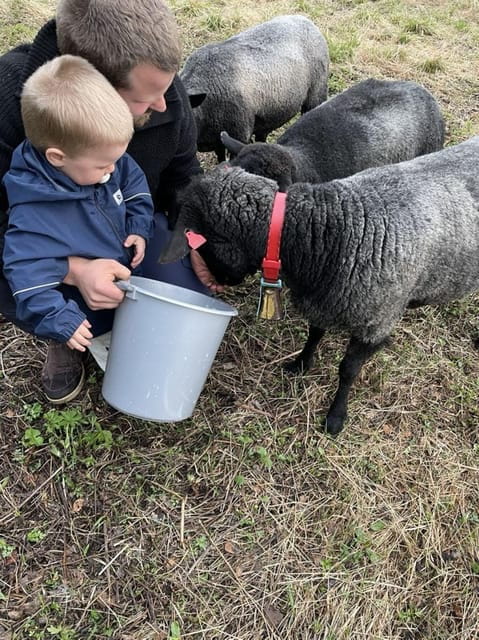 Tromsø: Norwegian farmvisit with guide - Key Points / Takeaways