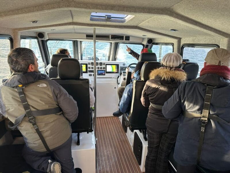 Tromsø: Orca and Whale Watching comfort heated boat Trip - Introduction to the Tromsø Whale Watching Experience