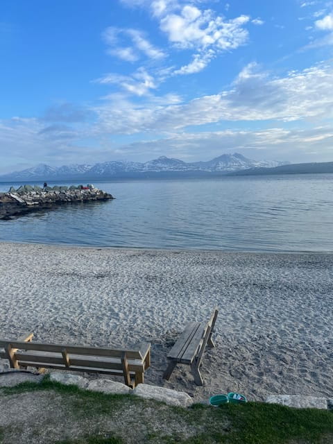 Tromsø: Private City Excursion with a Local - Value for Money and Practical Tips