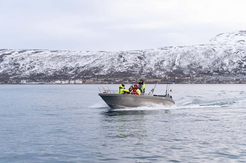 Tromsø: Private Fjord Boat Tour Around the City - Who This Tour Suits Best
