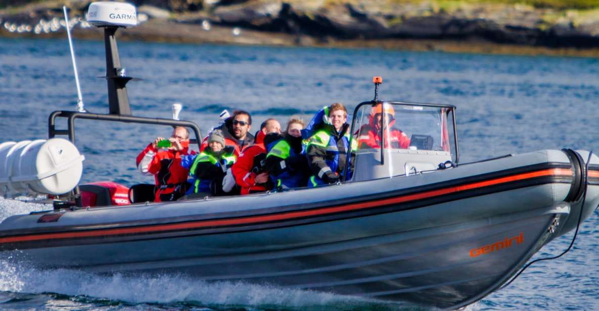 Tromsø: Private RIB Speedboat Tour of Hella - Key Points