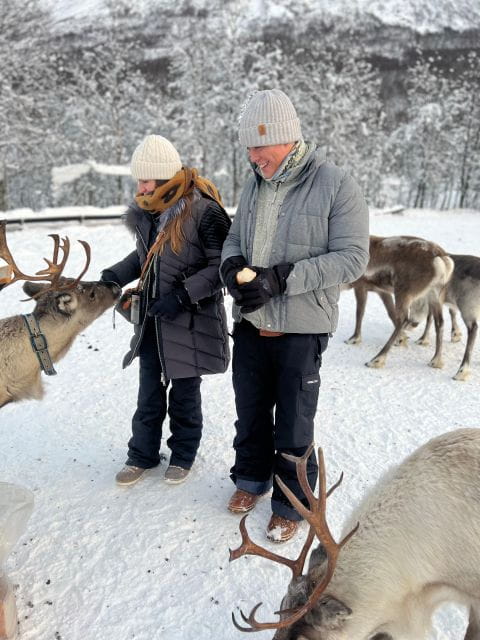 Tromsø: Reindeer Experience at a Sami Camp - An In-Depth Look at Tromsøs Reindeer and Sami Culture Tour