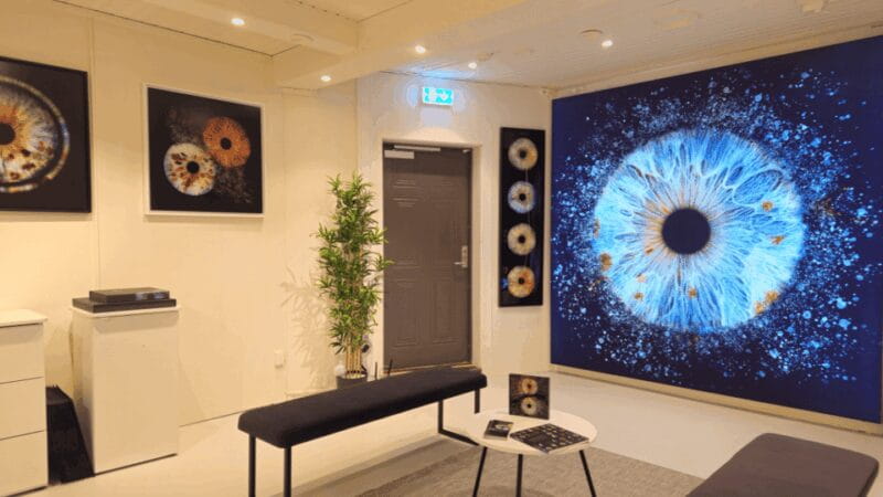 Tromsø: Reveal Your Eye Experience at the Iris Galerie - Key Points / Takeaways