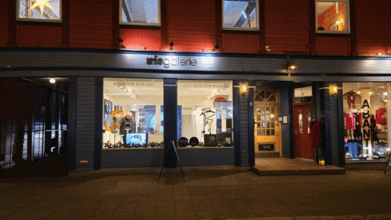 Tromsø: Reveal Your Eye Experience at the Iris Galerie - Final Thoughts: Is It Worth Your Time?