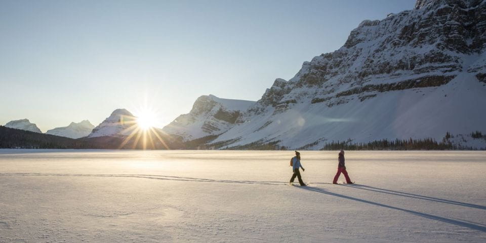 Tromso: Scenic & Eco-Friendly Snowshoeing Tour - Highlights of the Adventure