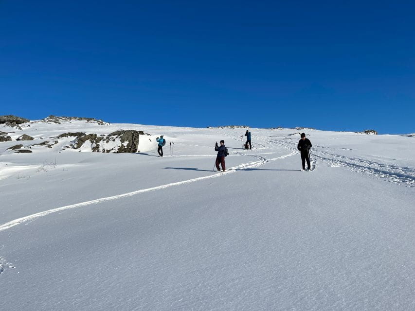 Tromso: Scenic & Eco-Friendly Snowshoeing Tour - Exploring the Tromso Landscape