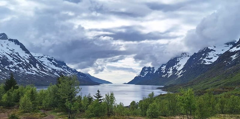 Tromsø: Scenic Fjords & Islands Roadtrip with guide & snacks - Exploring Tromsøs Natural Wonders in Comfort