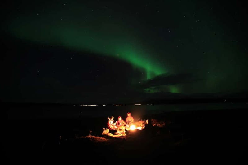 Tromsø: Small Group Northern Lights Hunt - What Makes This Tour Stand Out?