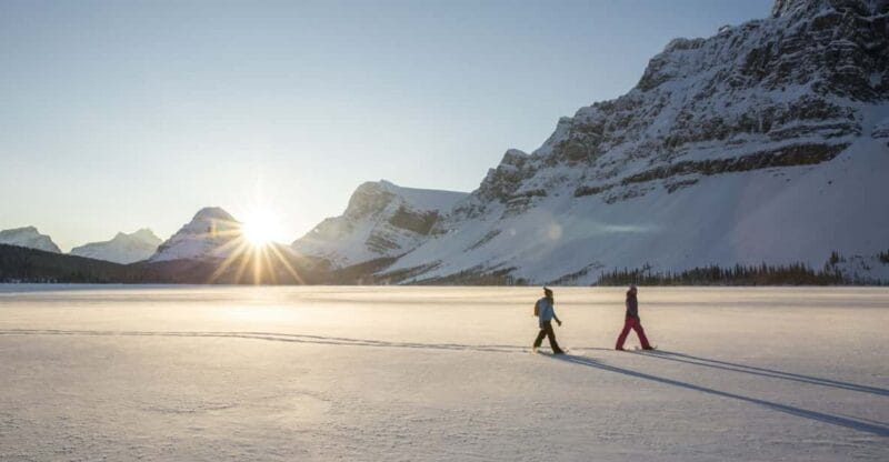 Tromsø: Snowshoeing in Scenic Landscape - Discover Tromsø’s Snowshoeing Adventure: A Deep Dive into Scenic Winter Trails