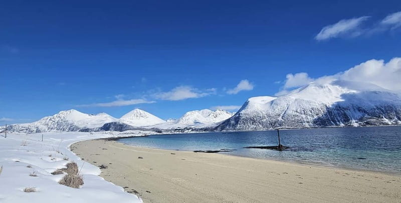 Tromsø: Sommarøy Islands, Kvaløya and Fjords Tour with lunch - Who Will Love This Tour?