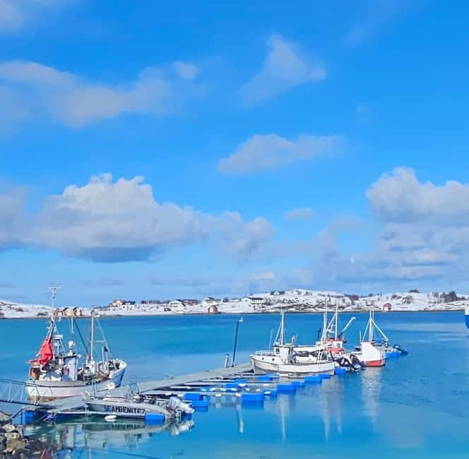 Tromsø: Sommarøy Islands, Kvaløya and Fjords Tour with lunch - The Sum Up: A Worthwhile Arctic Snapshot for Curious Travelers