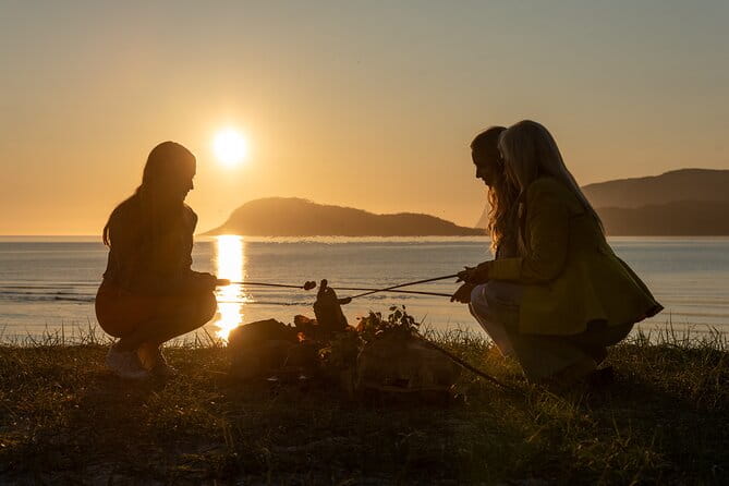Tromsø & Sommarøy - Private coastal tour with a local - Who will love this tour