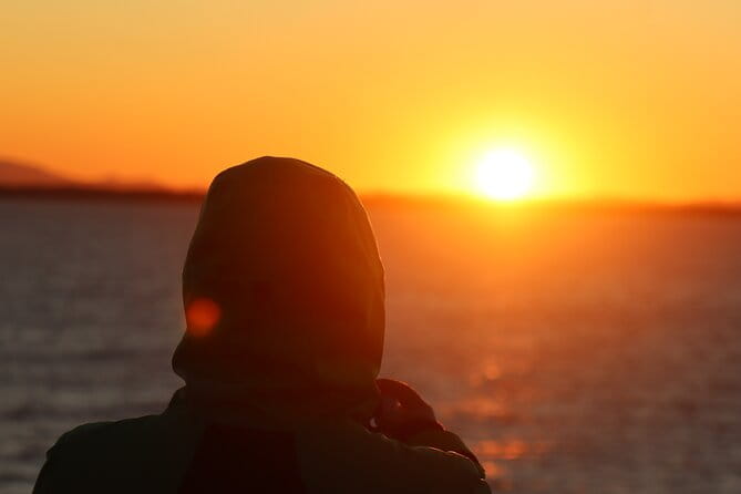 Tromsø & Sommarøy - Private coastal tour with a local - Conclusions: Is this tour worth it?