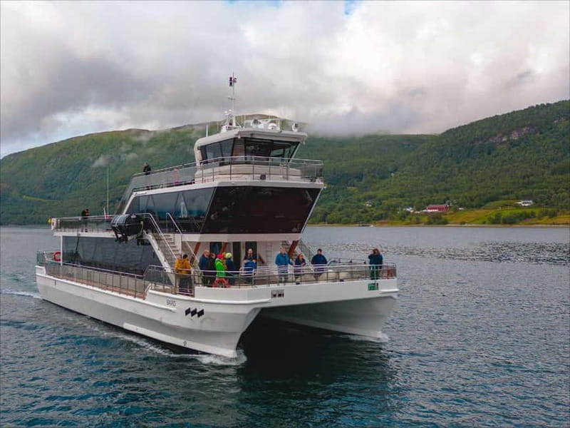 Tromsø: Summer Arctic Light Cruise with a Guide - The Magic of the Sunset and Midnight Sun