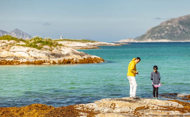 Tromsø: Summer Fjord Road Trip with Citizen Science - Key Points / Takeaways