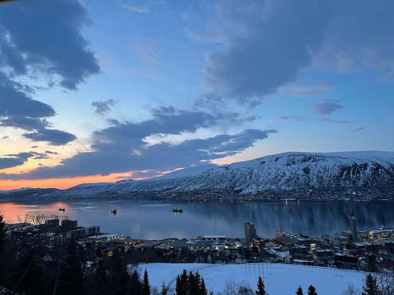 Tromsø: The View Panoramic Scenery and Local Delights - Key points / Takeaways