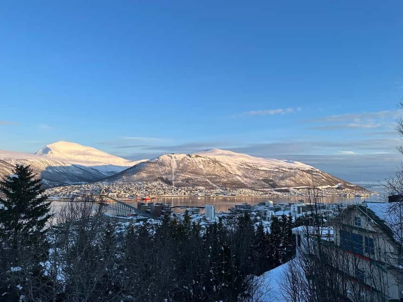 Tromsø: The View Panoramic Scenery and Local Delights - The Location and Setting: A Hidden Gem with Stunning Views